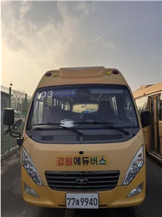 쉐보레GM 대형 승합차 레스타-어린이운송차 3800cc 사진 1