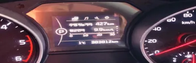 그랜드카니발저상형장애인차 사진 2