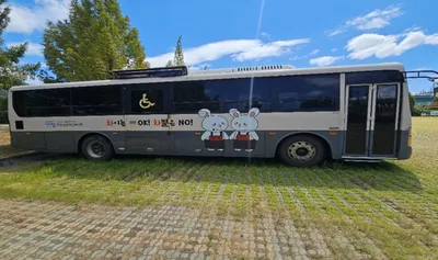 현대 대형차 뉴슈퍼에어로시티 장애인차 9960cc 사진 5