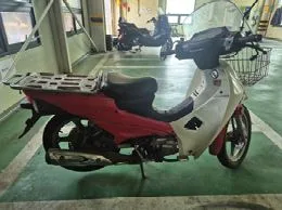 대림, 디앤에이모터스 중형 CB115D, CB115PD 114cc 사진 3