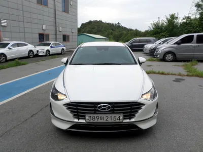 불용 2019년 쏘나타순찰차 116,124km 매각 389머****
