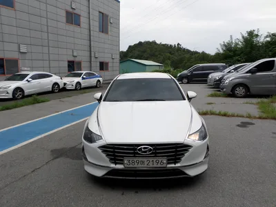 불용 2019년 쏘나타순찰차 125,250km 매각 389머****