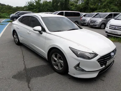 불용 2019년 쏘나타순찰차 125,250km 매각 389머**** 사진 2