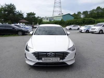 불용 2019년 쏘나타순찰차 128,580km 매각 389머****