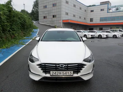 불용 2019년 쏘나타순찰차 135,139km 매각 242머****