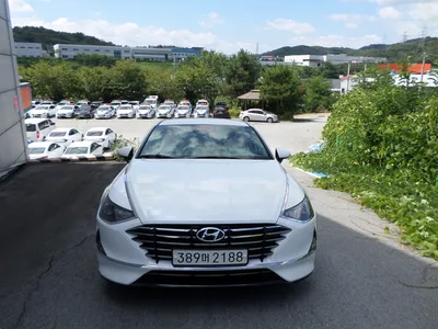 불용 2019년 쏘나타순찰차 144,680km 매각 389머****