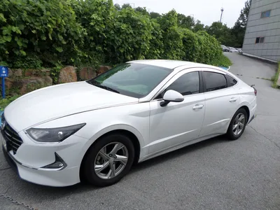 불용 2019년 쏘나타순찰차 141,416km 매각 242머**** 사진 3